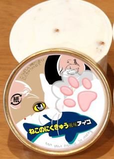 노트펫