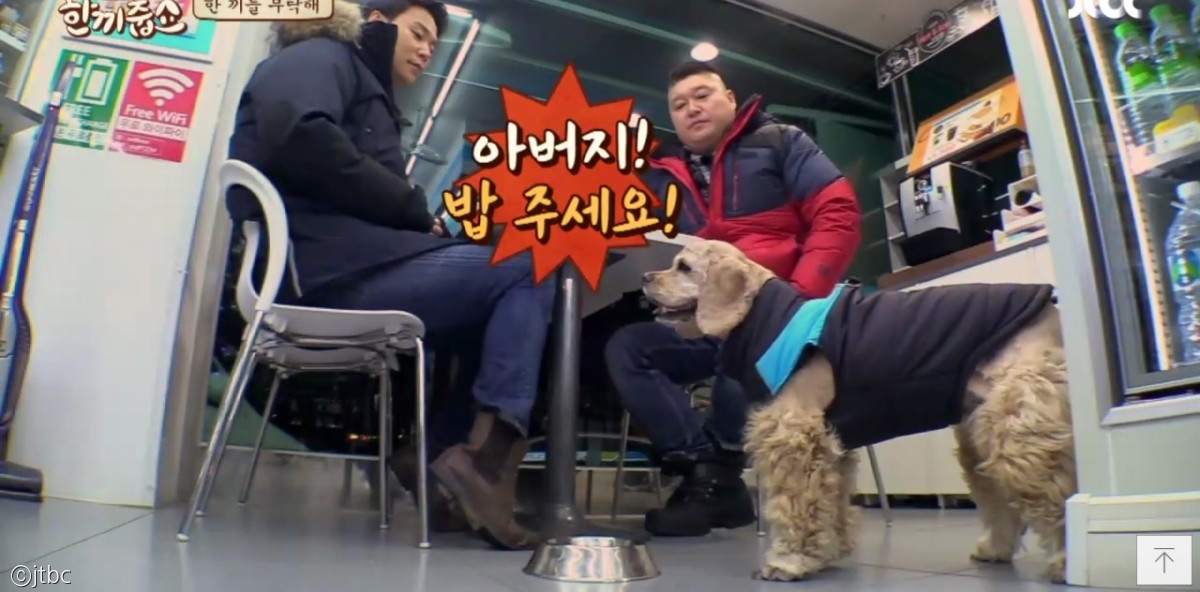 노트펫