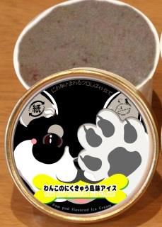 노트펫