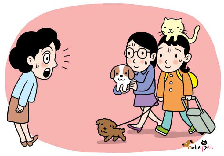 노트펫