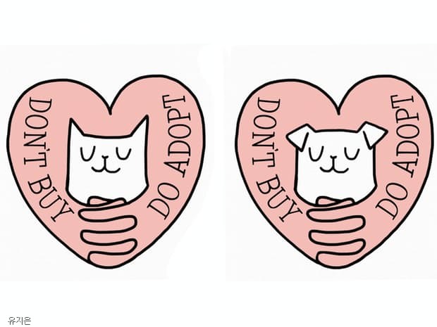 노트펫