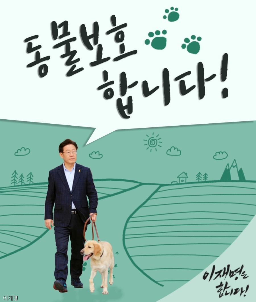 노트펫