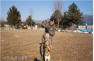 노트펫