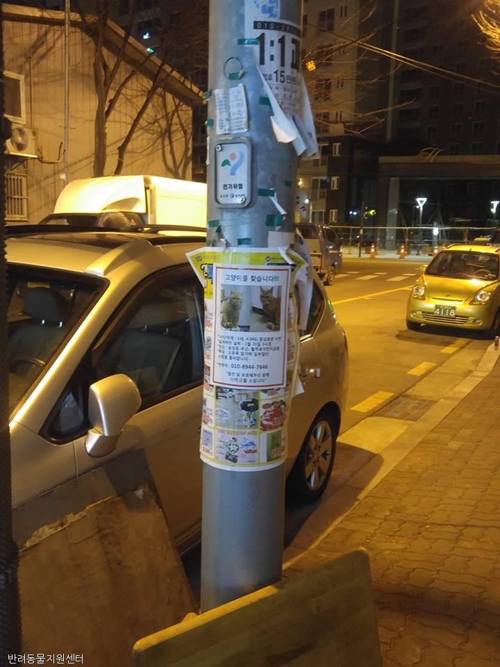노트펫