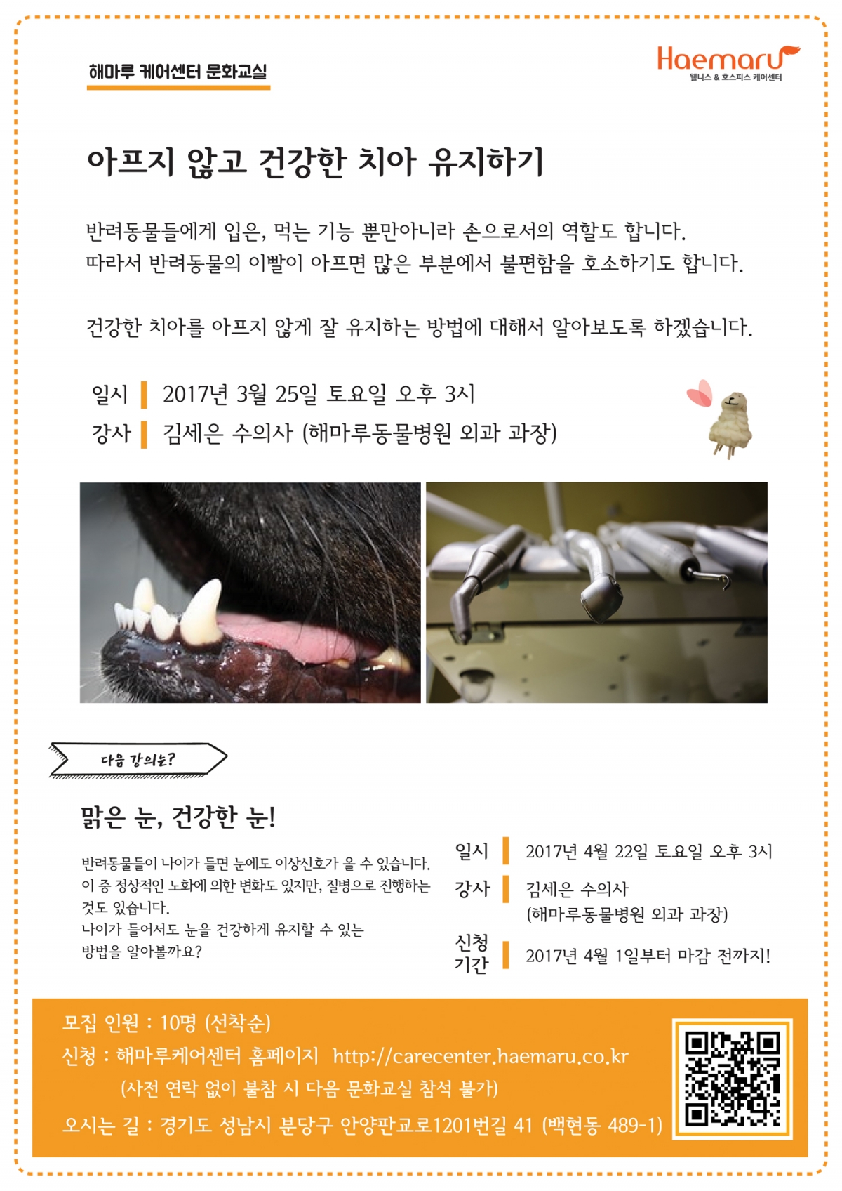 노트펫