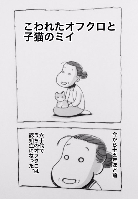노트펫