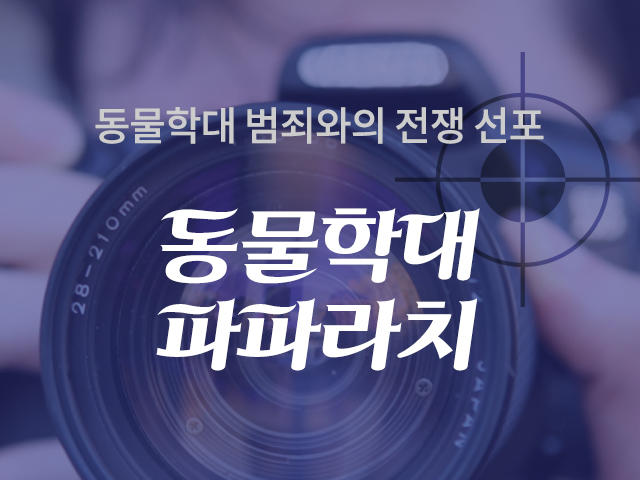 노트펫