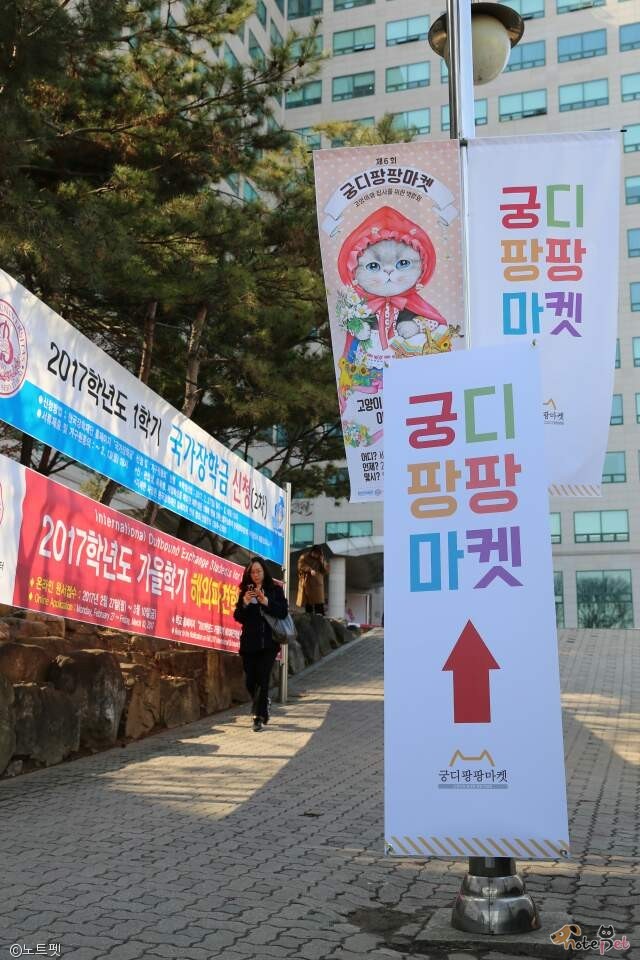 노트펫