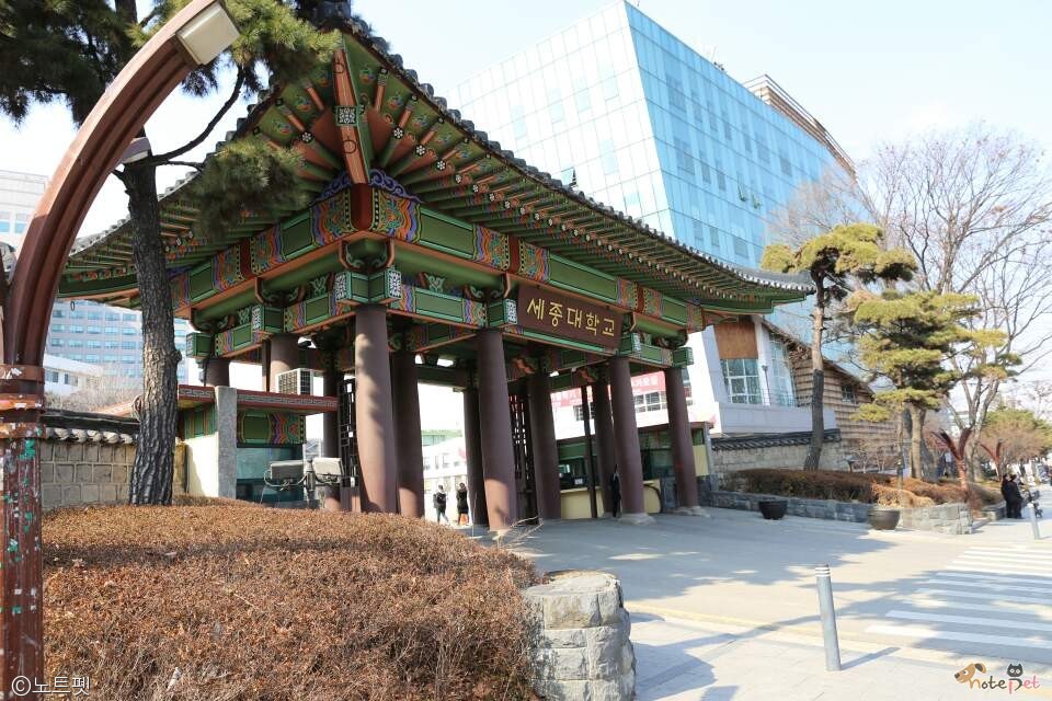 노트펫