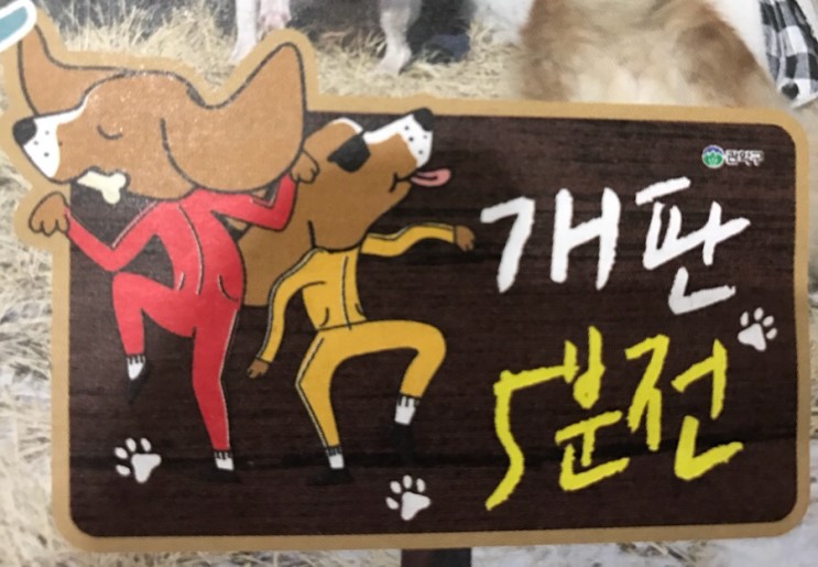 노트펫