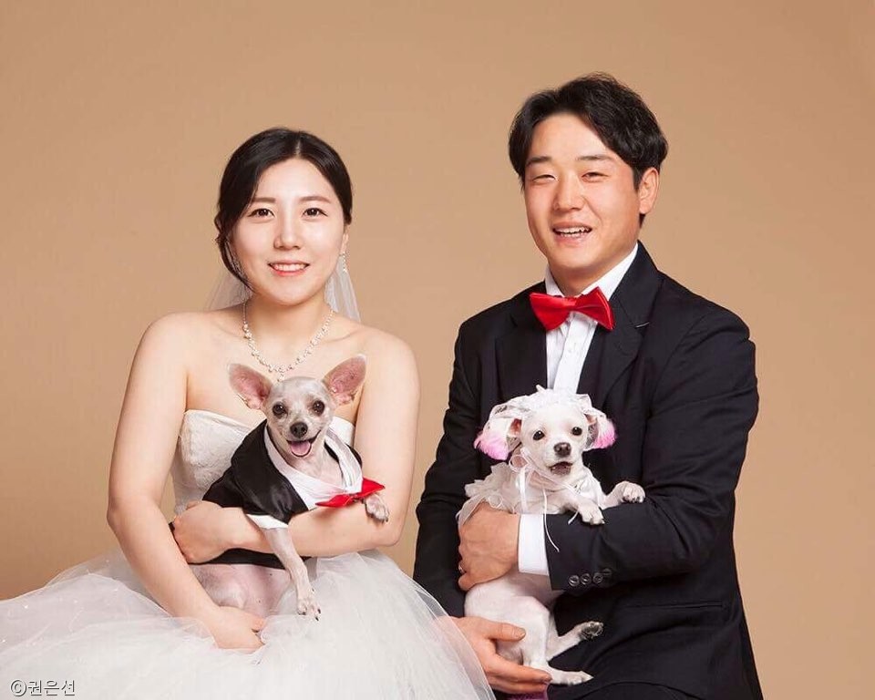 노트펫