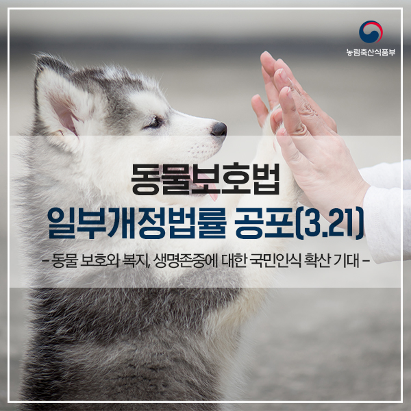 노트펫