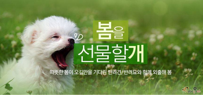 노트펫
