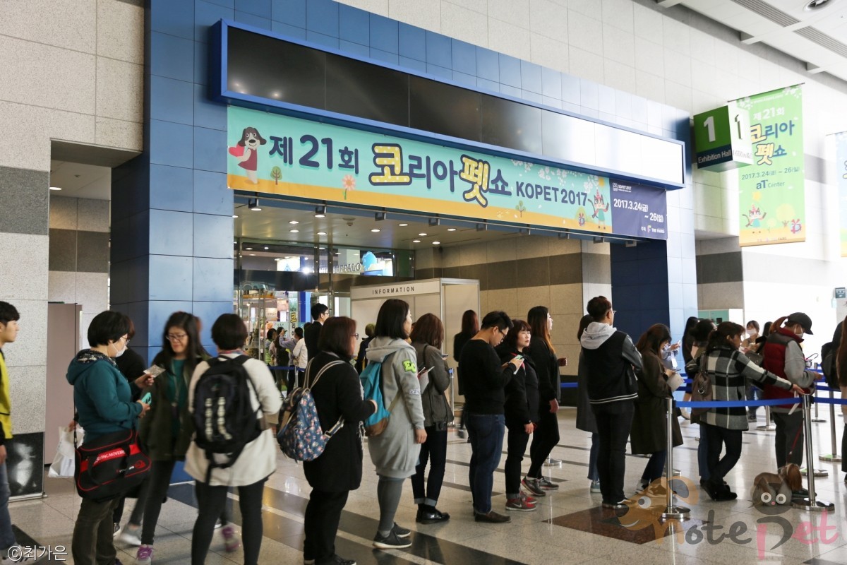 노트펫