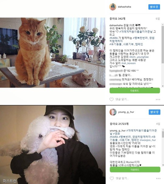 노트펫