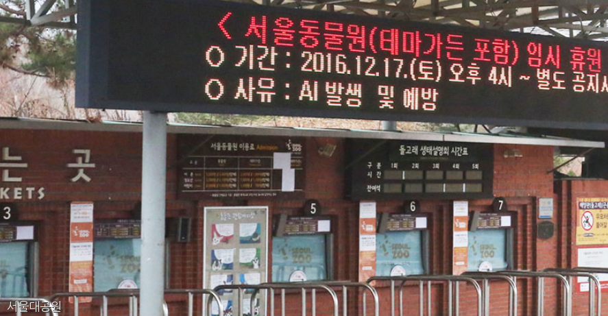 노트펫