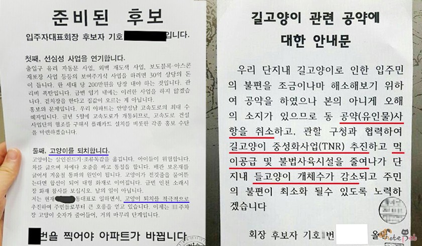 노트펫