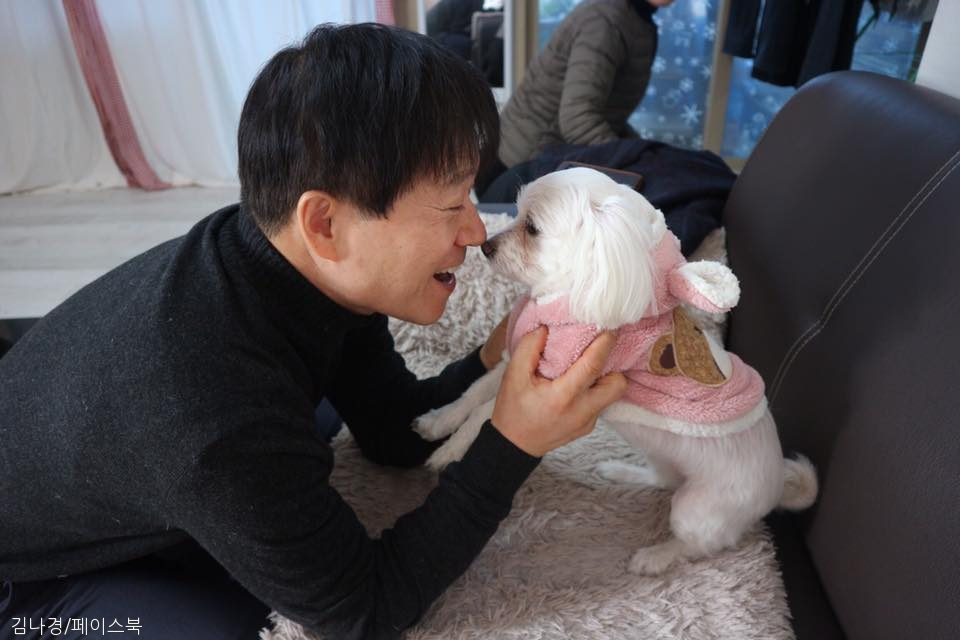 노트펫