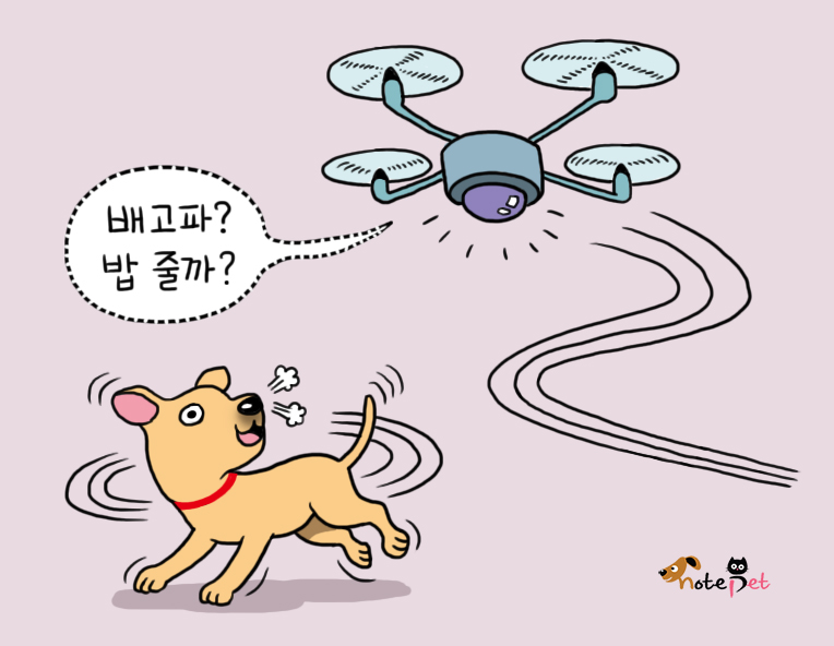 노트펫