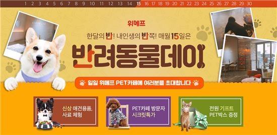노트펫