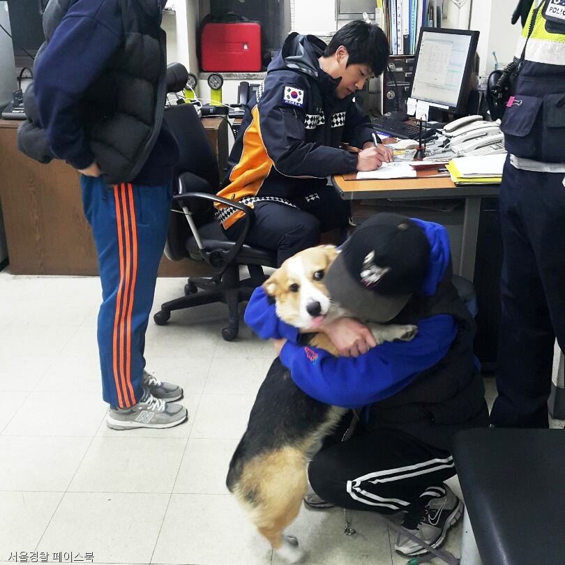 노트펫