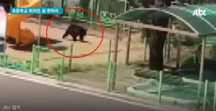 노트펫