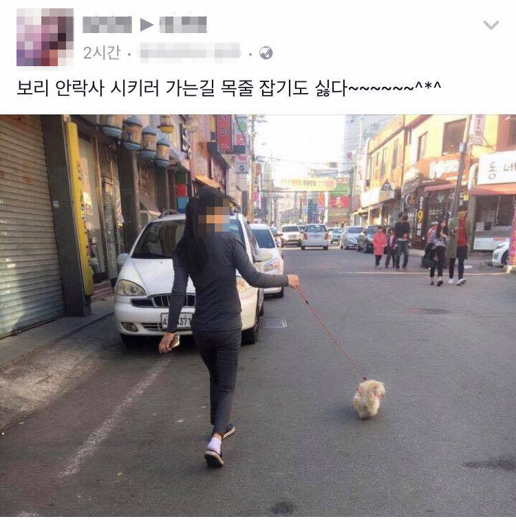 노트펫