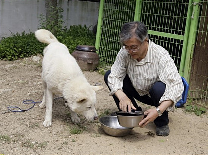 노트펫