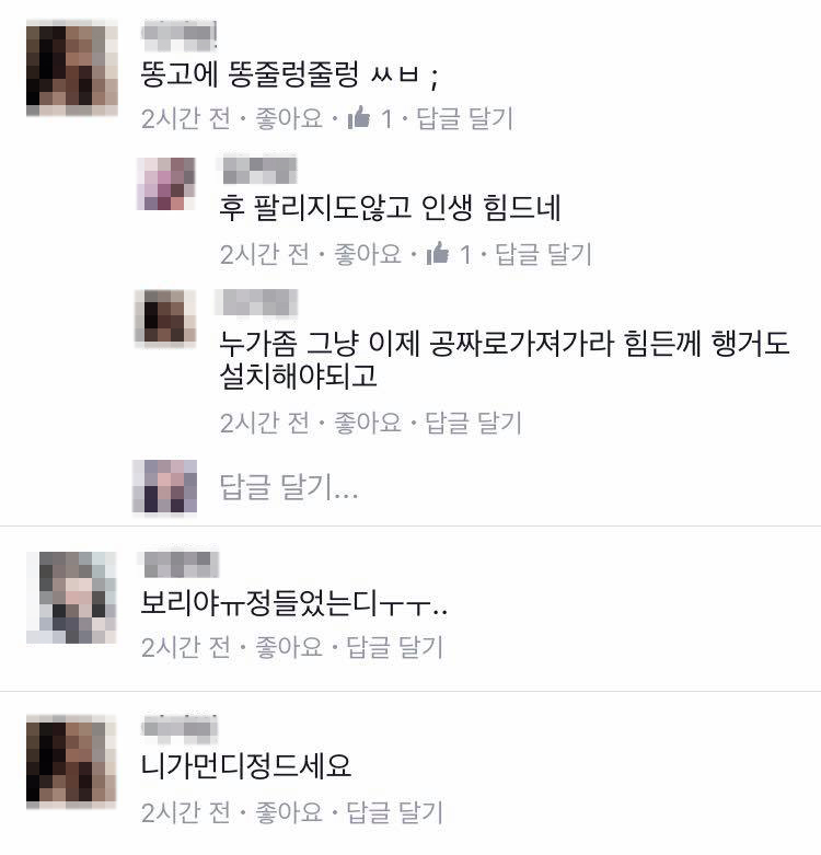 노트펫