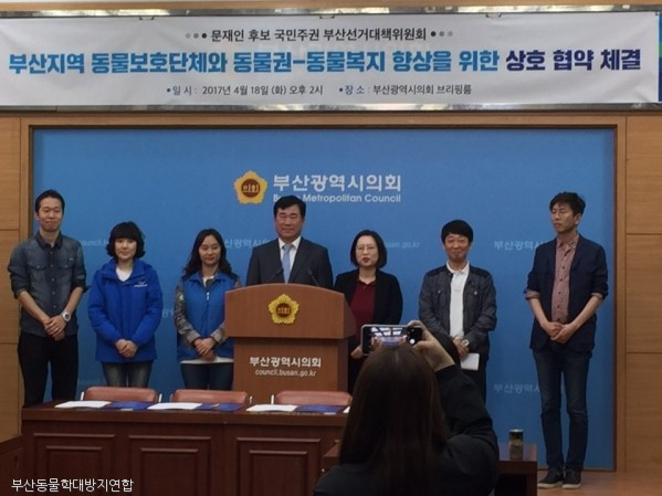 노트펫