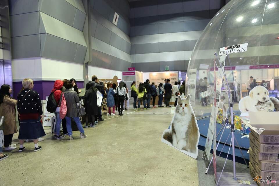 노트펫