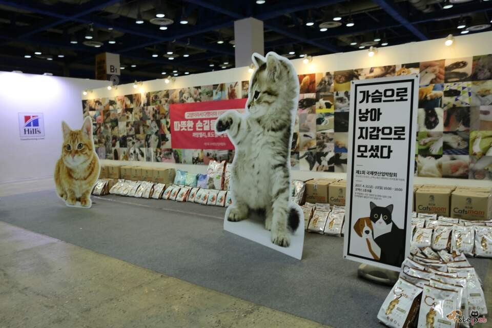 노트펫
