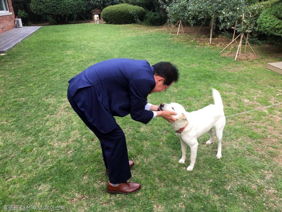 노트펫