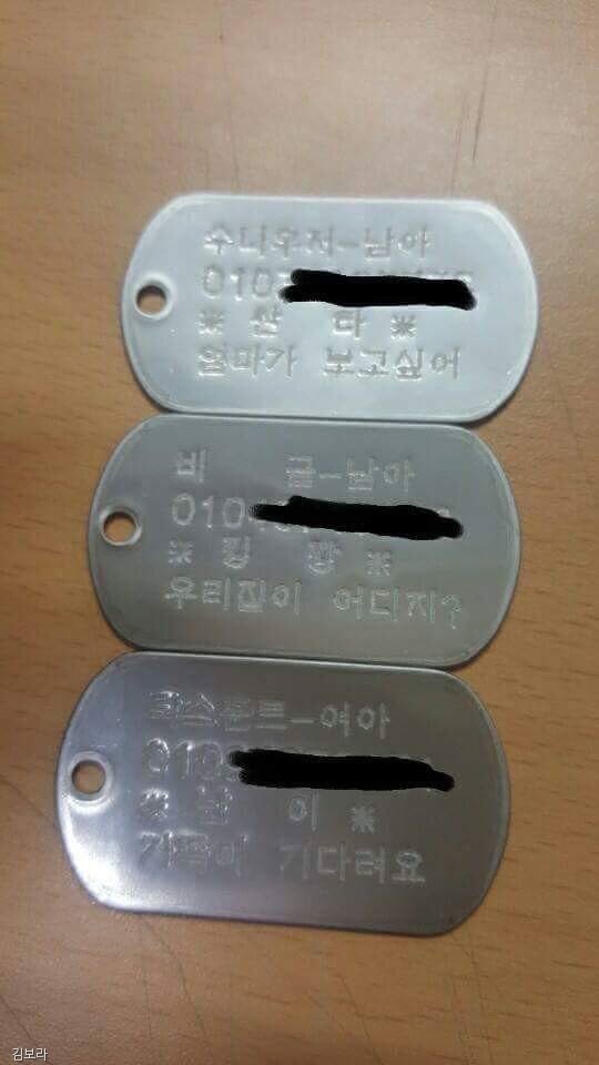 노트펫