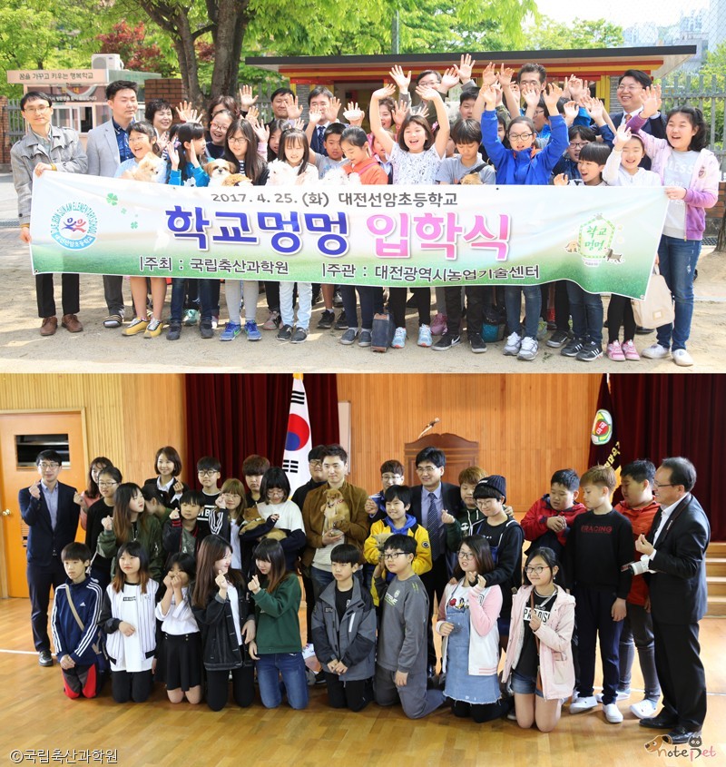 노트펫