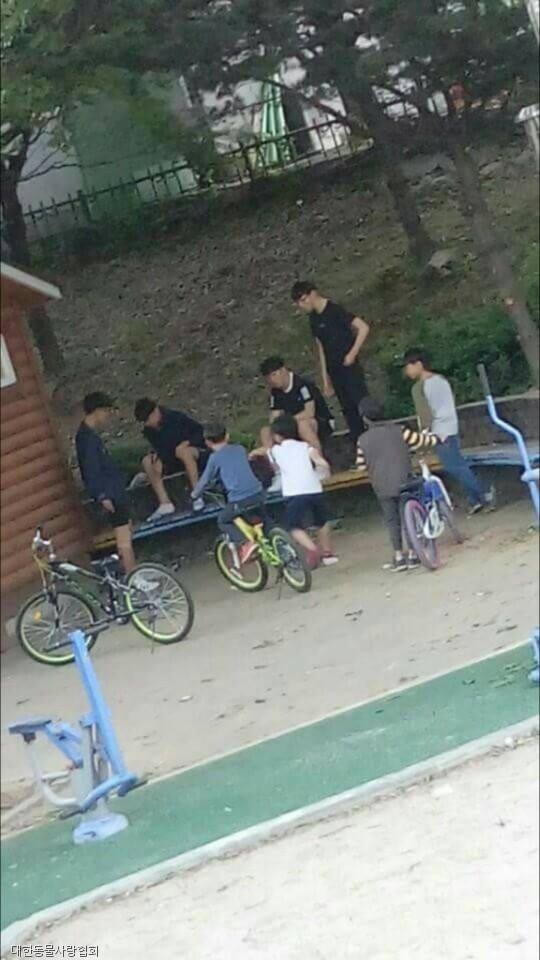 노트펫