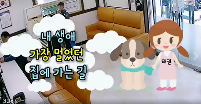 노트펫