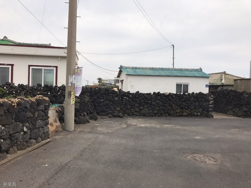 노트펫