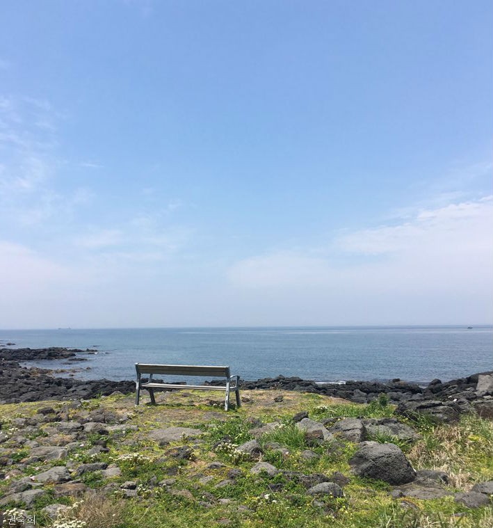 노트펫