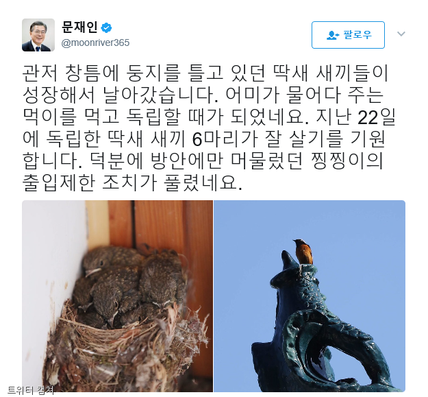 노트펫