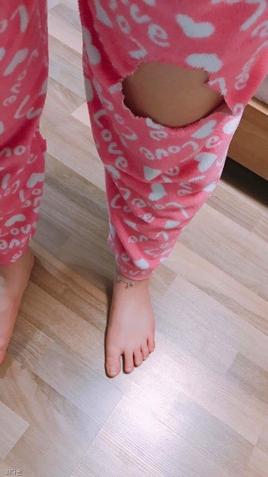 노트펫
