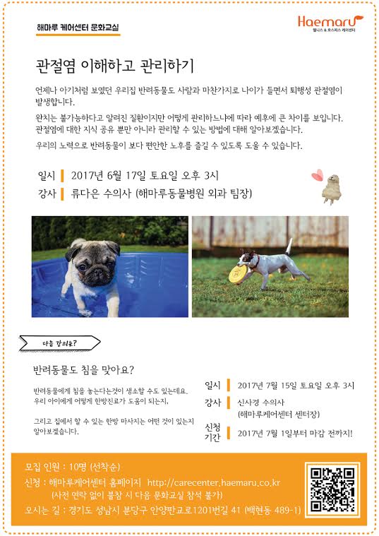 노트펫