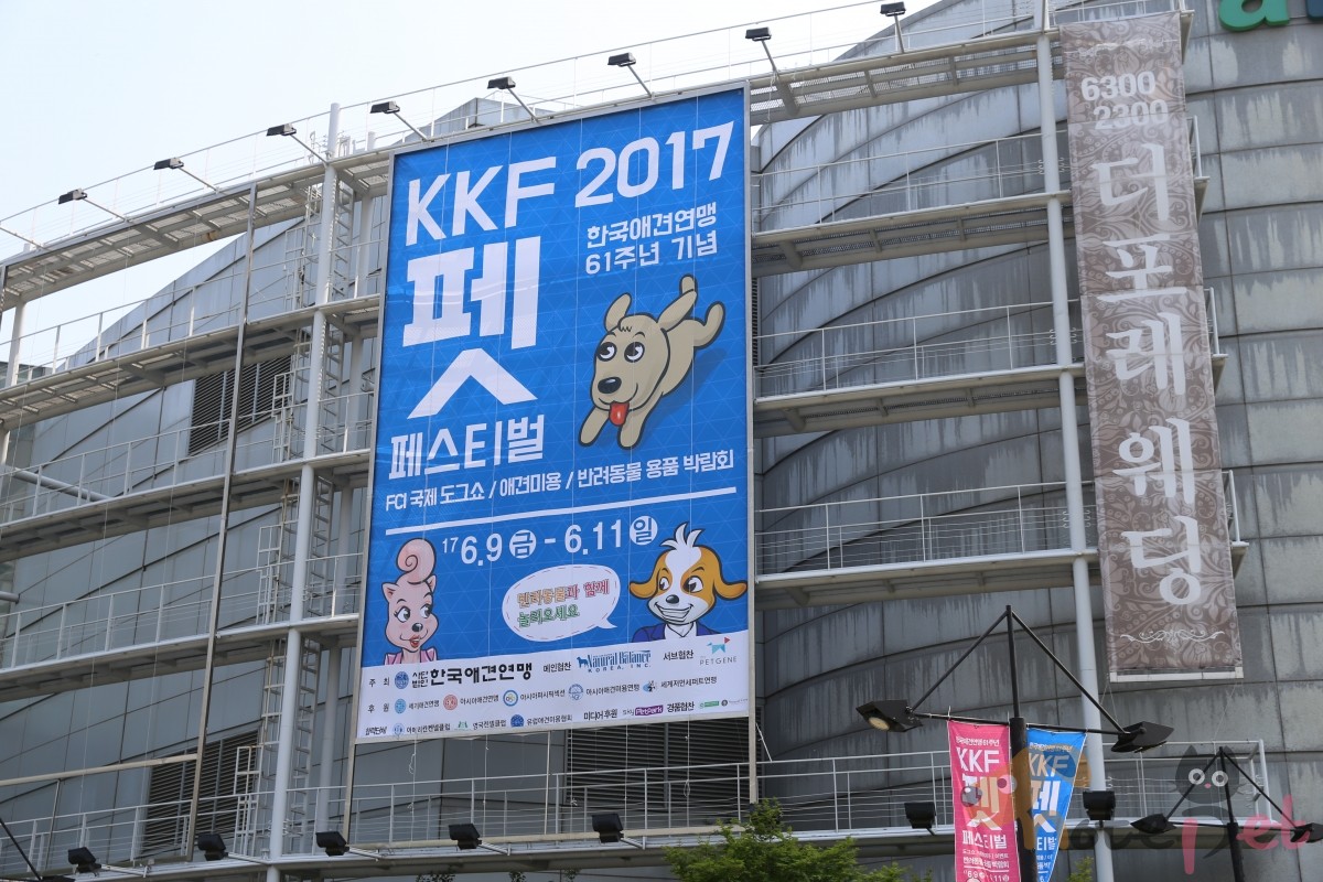 노트펫