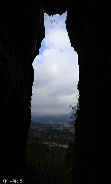 노트펫