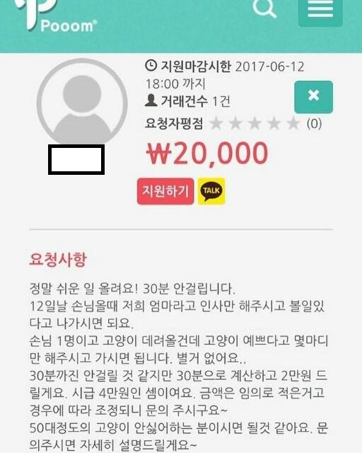 노트펫