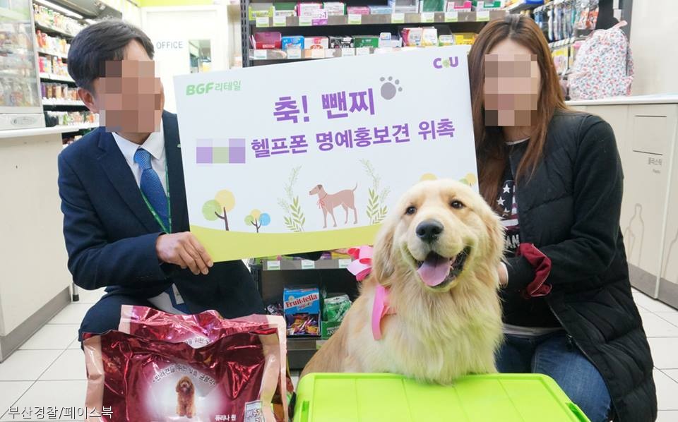 노트펫