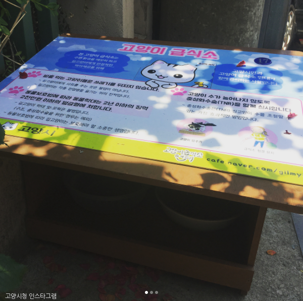 노트펫