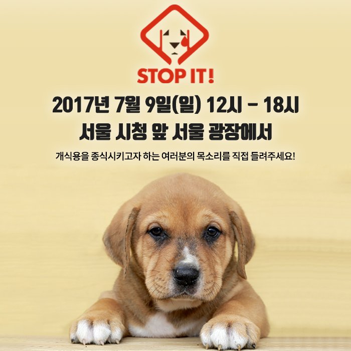 노트펫