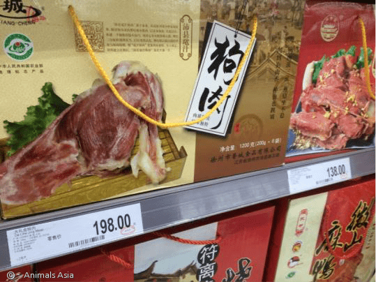 노트펫