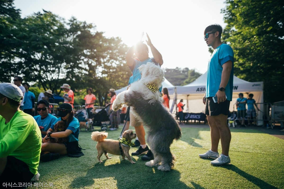 노트펫